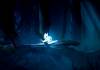 fotograma de ori and the wispheres